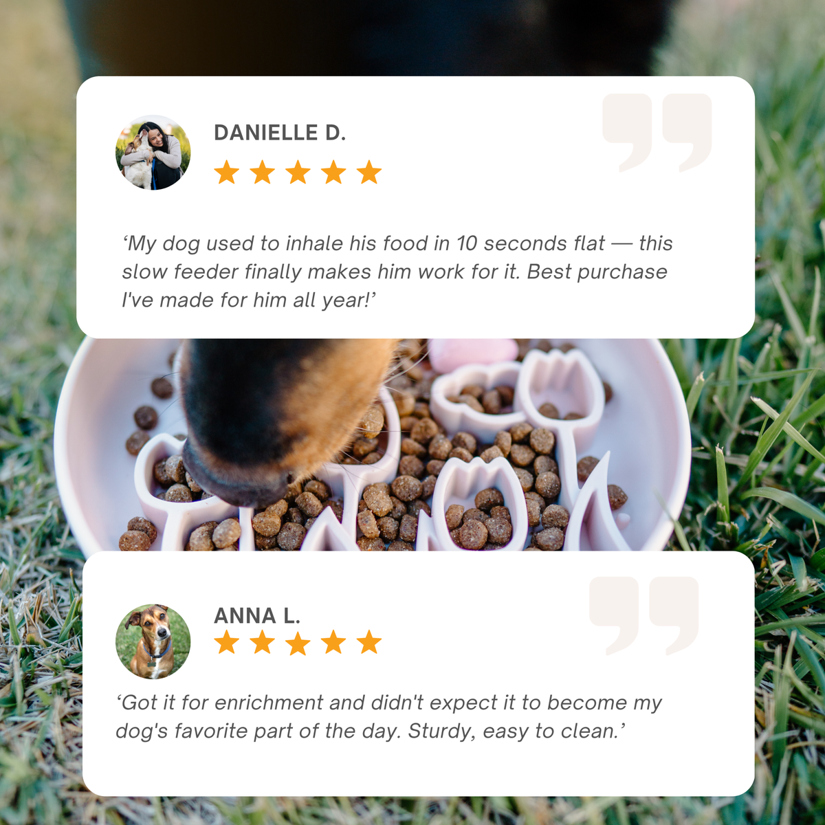 Barks and Brownies - Love Slow Feeder - Snow - Doglicious Bakery Bites