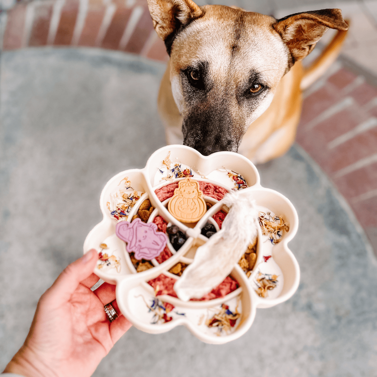 Barks and Brownies - Love Slow Feeder - Snow - Doglicious Bakery Bites