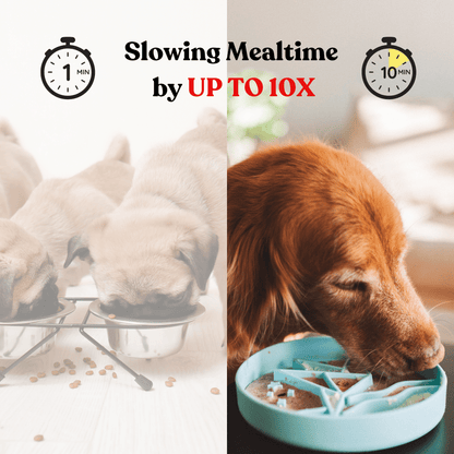 Barks and Brownies - Mushroom Slow Feeder - Doglicious Bakery Bites