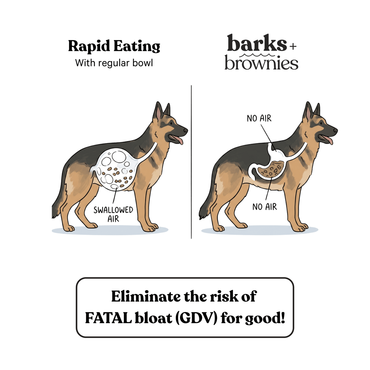 Barks and Brownies - Mushroom Slow Feeder - Doglicious Bakery Bites