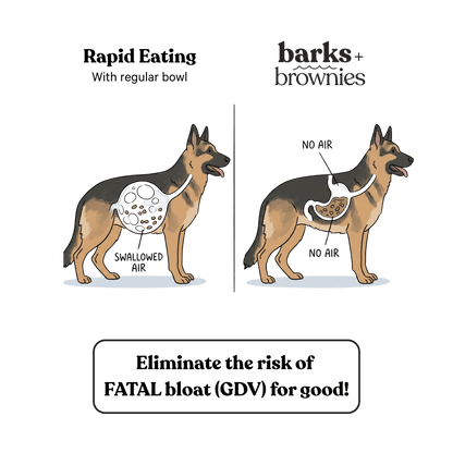 Barks and Brownies - Mushroom Slow Feeder - Doglicious Bakery Bites