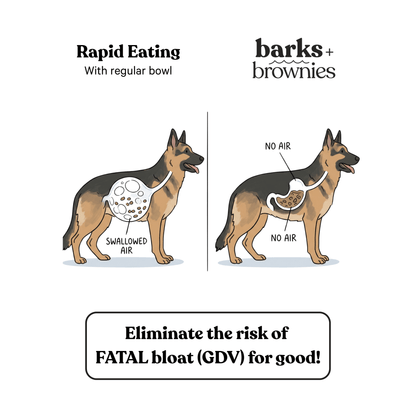 Barks and Brownies - Snuffle Mat - Sky - Doglicious Bakery Bites