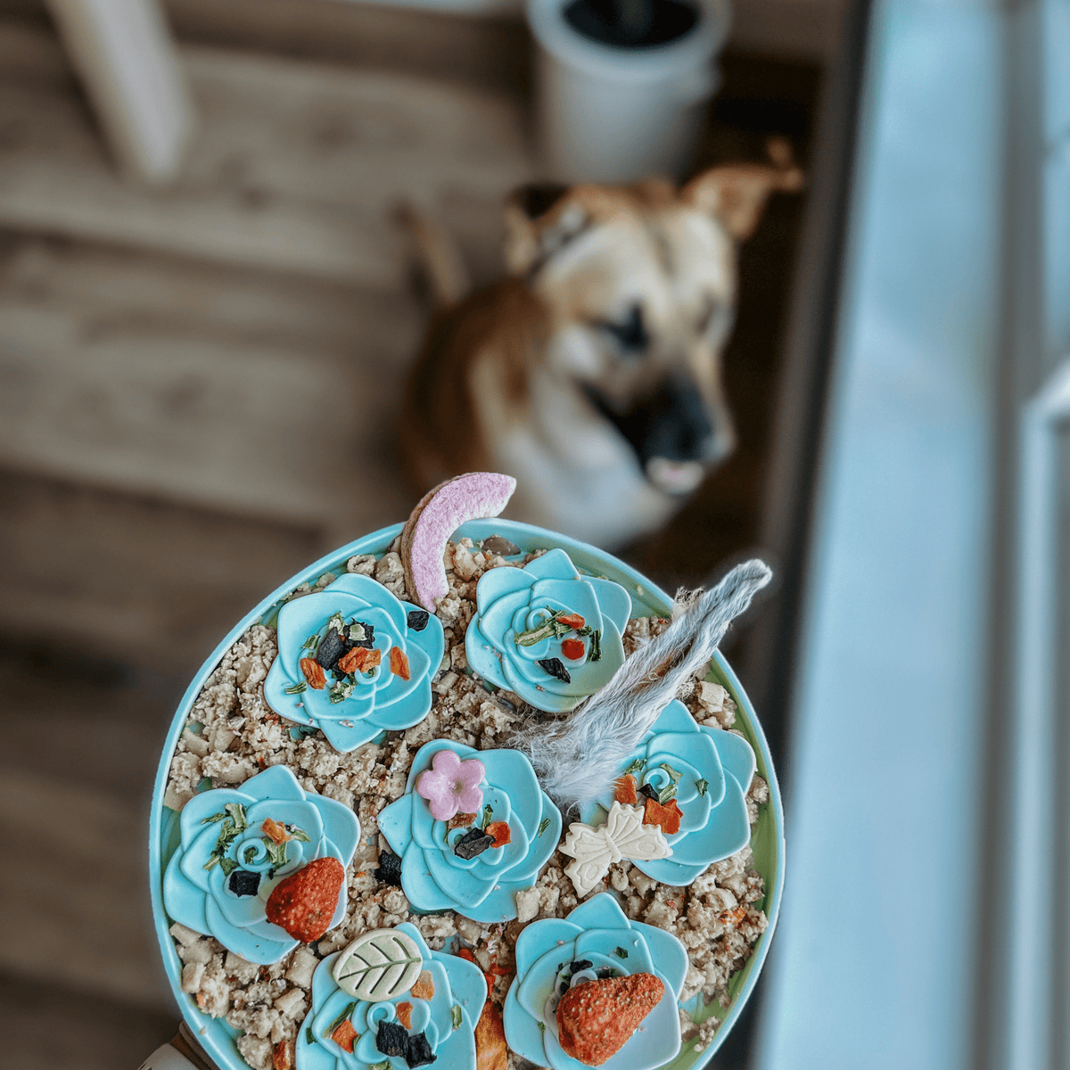 Barks and Brownies - Snuffle Mat - Tea - Doglicious Bakery Bites