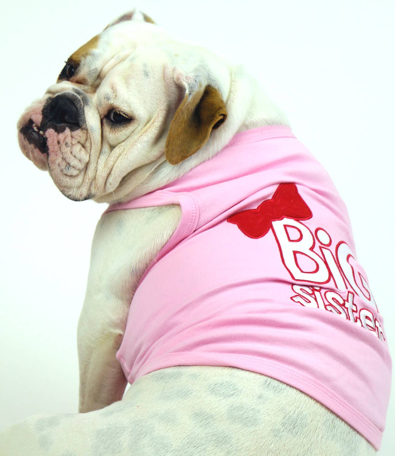 Big Sister Dog T-Shirt – Adorable & Fun Outfit for Pets - Doglicious Bakery Bites
