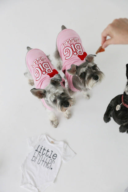Big Sister Dog T-Shirt – Adorable & Fun Outfit for Pets - Doglicious Bakery Bites