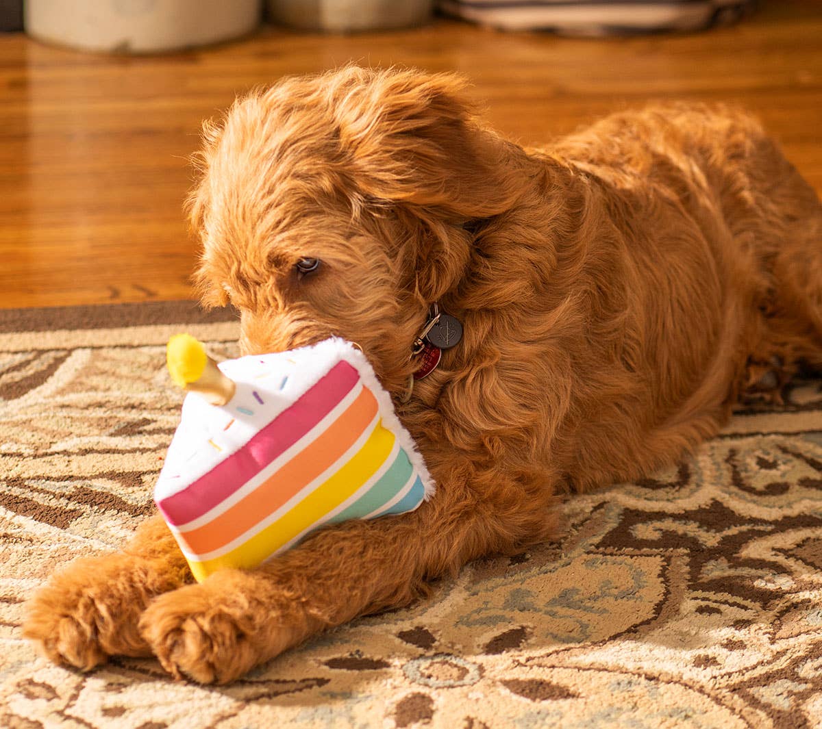 Birthday 5 - Layer Cake Plush Dog Toy 8" - Doglicious Bakery Bites