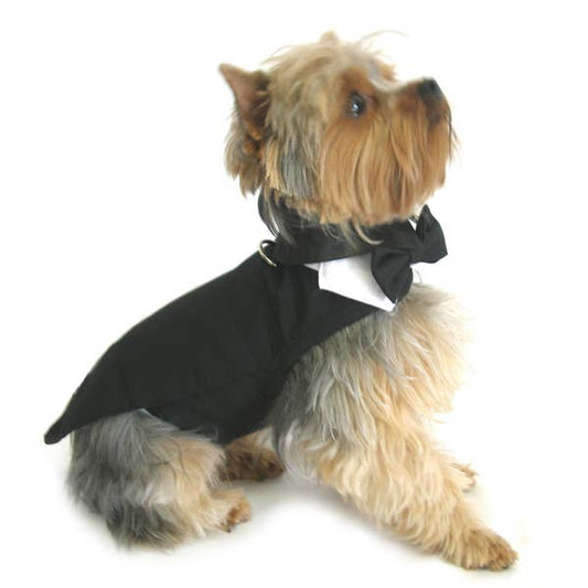 Black Dog Harness Tuxedo w/Tails, Bow Tie, and Collar - Doglicious Bakery Bites