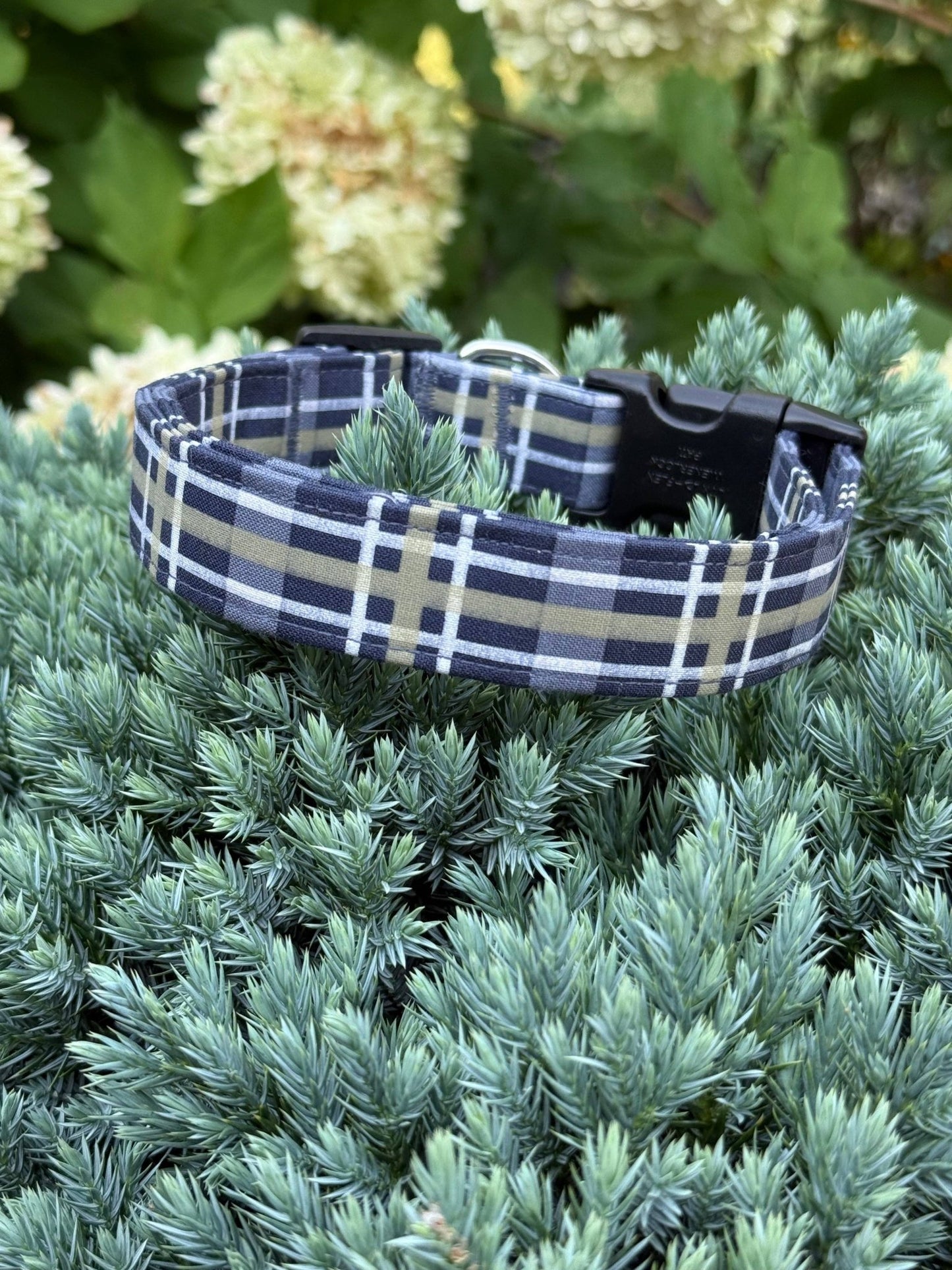 Blue Plaid Limited Edition Collar - Doglicious Bakery Bites