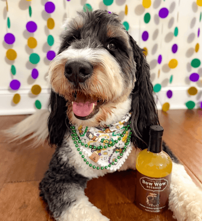 Bow Wow Bourbon | Pumpkin - Doglicious Bakery Bites