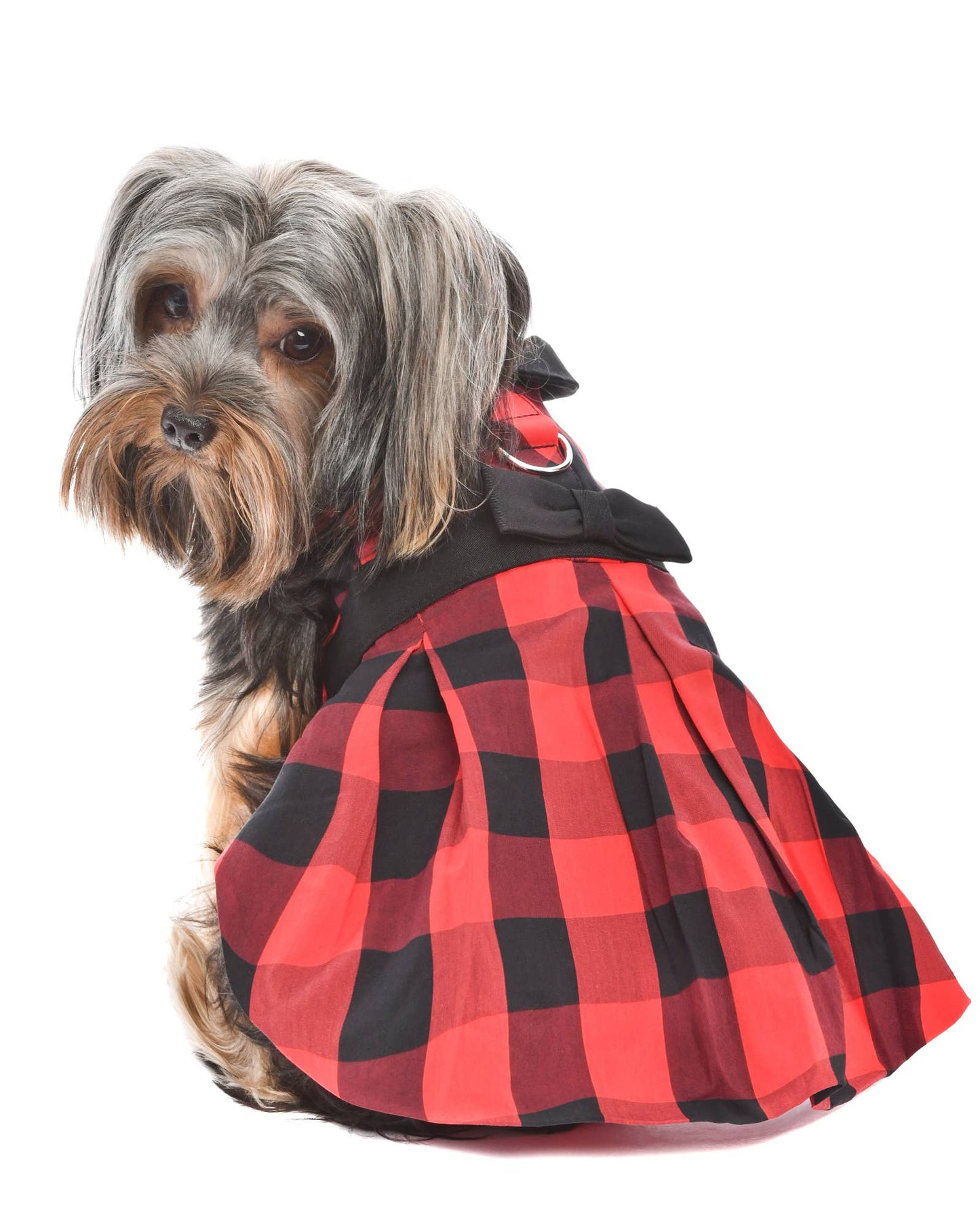 Buffalo Checkered Taffeta Dress – Holiday Dog Dress - Doglicious Bakery Bites