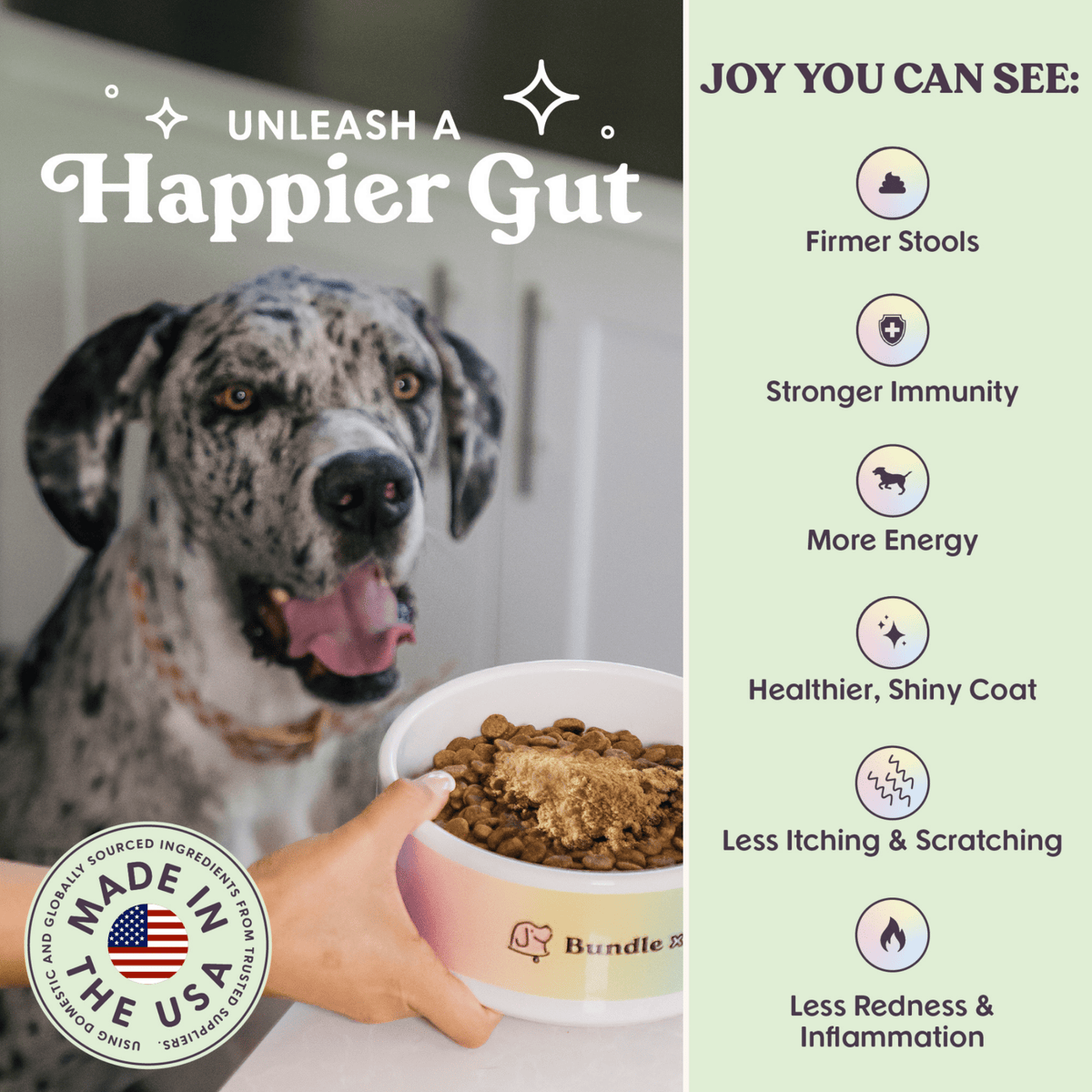 Bundle x Joy - Bone Broth & Colostrum Daily Boost Powder | Gut Health - Doglicious Bakery Bites