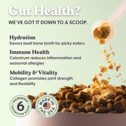 Bundle x Joy - Bone Broth & Colostrum Daily Boost Powder | Gut Health - Doglicious Bakery Bites
