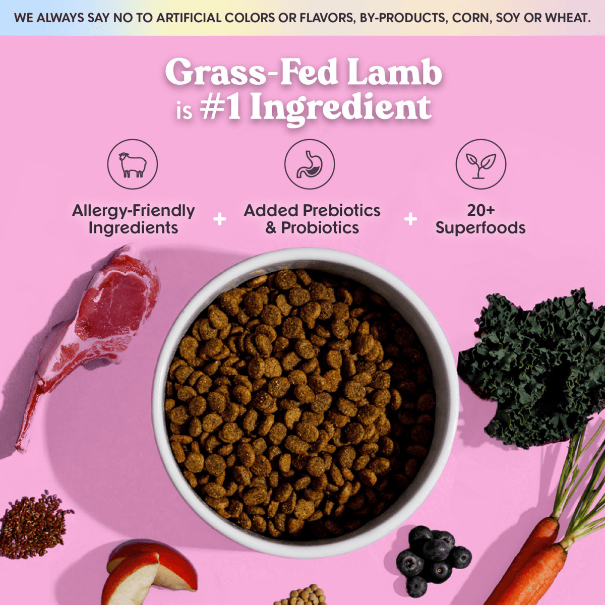 Bundle x Joy - Brave Grass-Fed Lamb Superfood for Dogs (Poultry-Free) 18 lb - Doglicious Bakery Bites