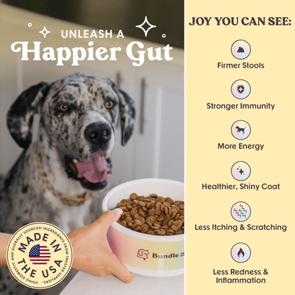 Bundle x Joy - Golden Cage-Free Chicken Superfood Dog Food 18lb - Doglicious Bakery Bites