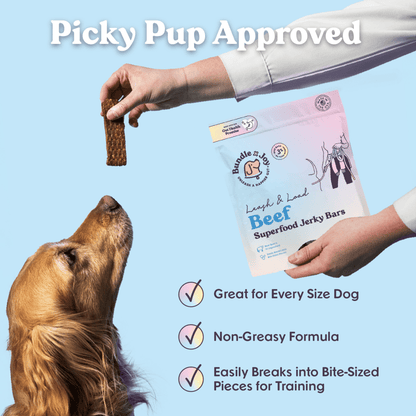 Bundle x Joy - Leash & Load Beef Superfood Jerky Bars for Dogs 16oz - Doglicious Bakery Bites