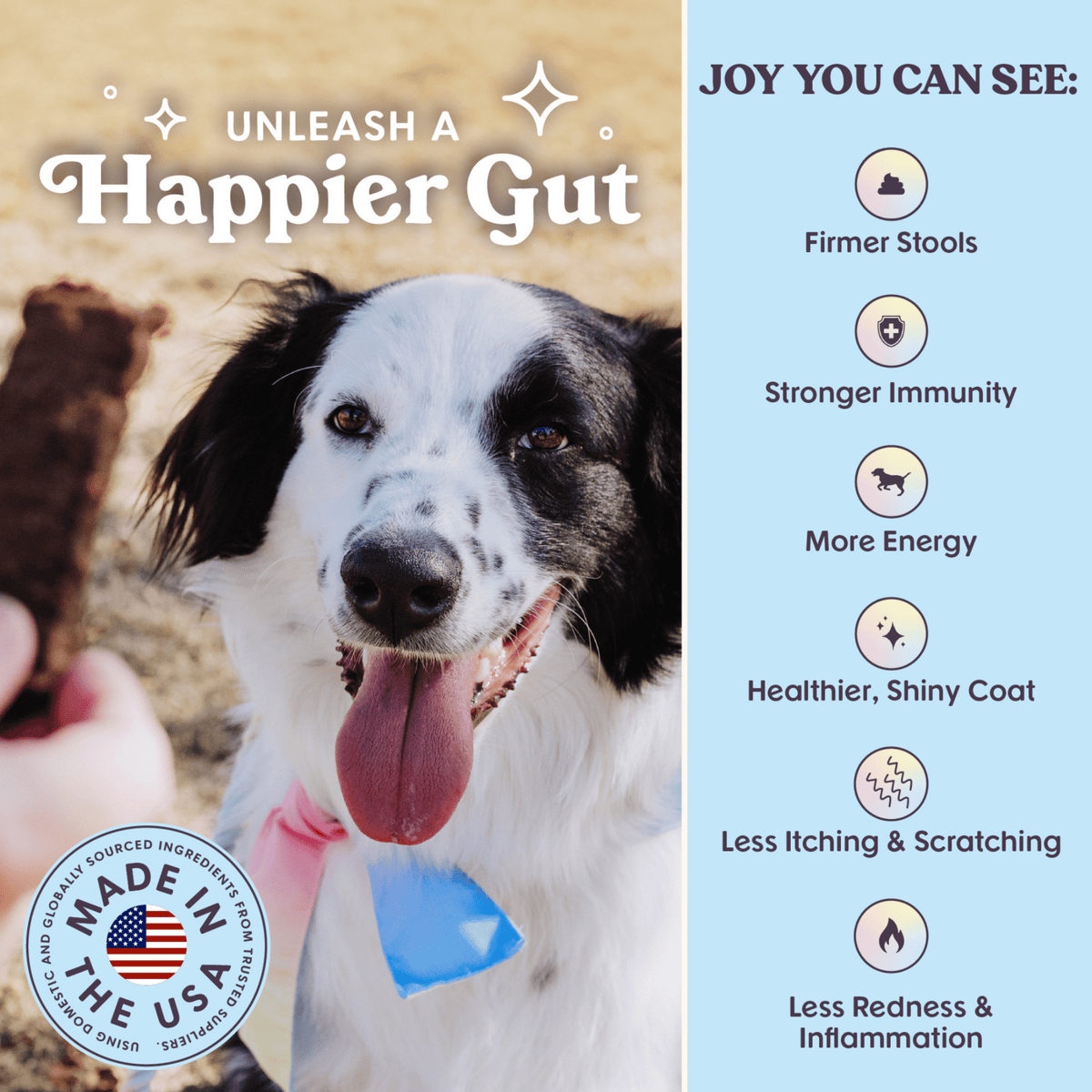 Bundle x Joy - Leash & Load Beef Superfood Jerky Bars for Dogs 16oz - Doglicious Bakery Bites