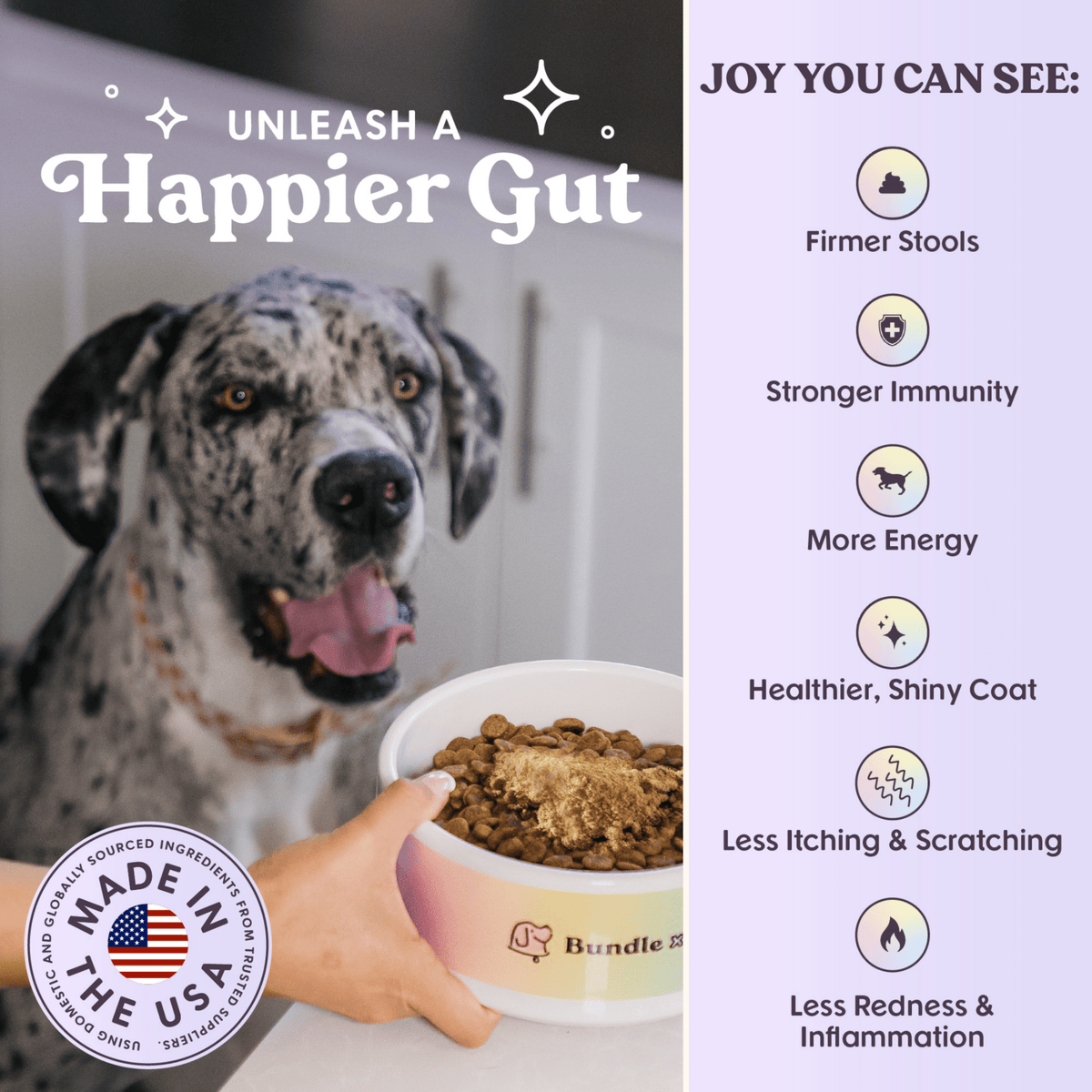 Bundle x Joy - Probiotic & Prebiotic Daily Boost Powder | Digestive Support - Doglicious Bakery Bites
