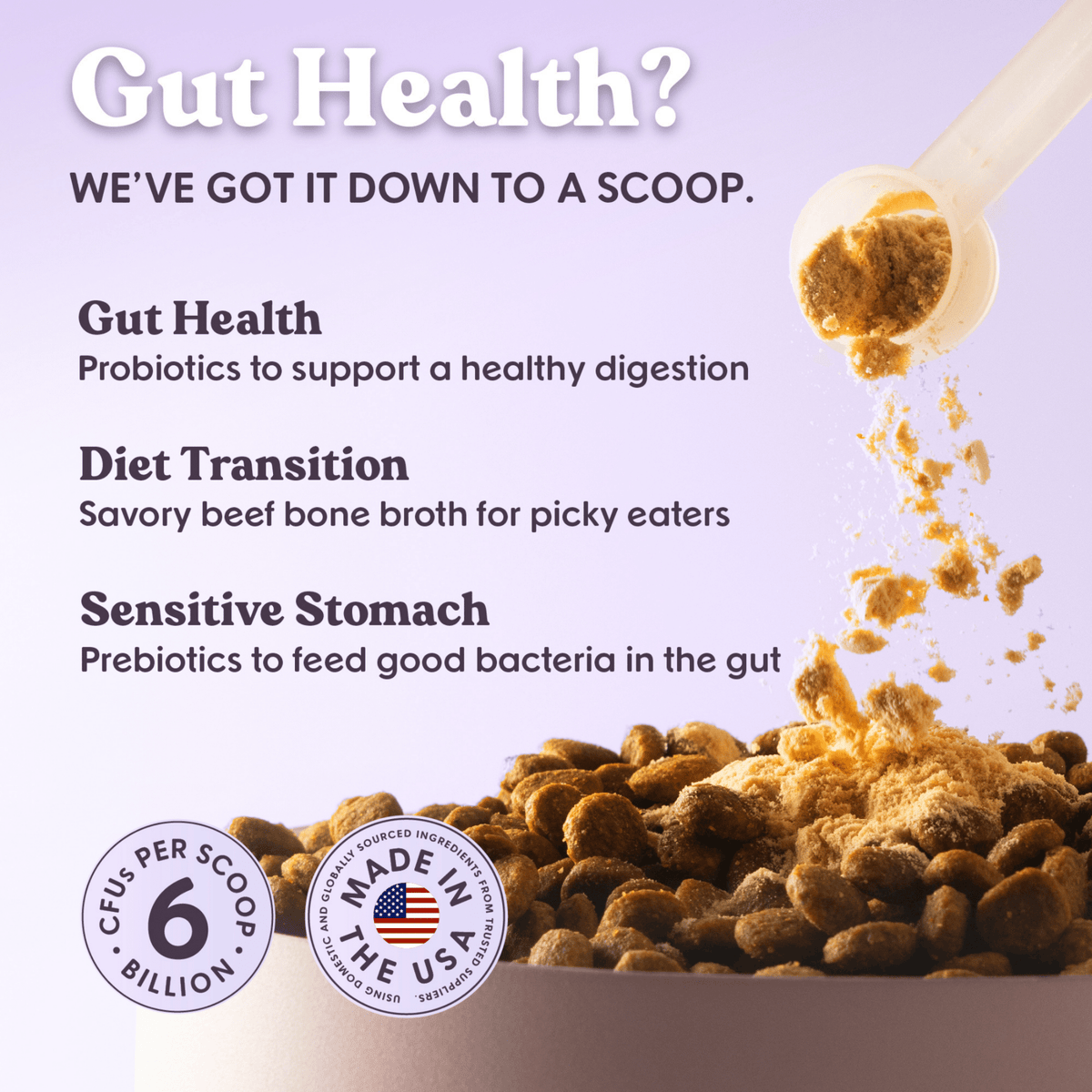 Bundle x Joy - Probiotic & Prebiotic Daily Boost Powder | Digestive Support - Doglicious Bakery Bites