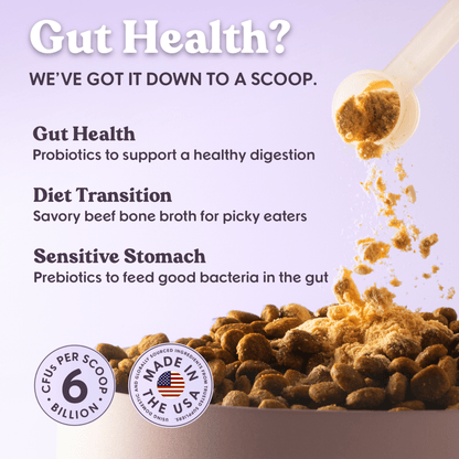 Bundle x Joy - Probiotic & Prebiotic Daily Boost Powder | Digestive Support - Doglicious Bakery Bites