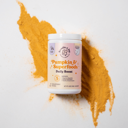 Bundle x Joy - Pumpkin & Superfoods Daily Boost Powder | Digestive Support - Doglicious Bakery Bites