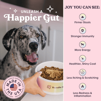 Bundle x Joy - Pumpkin & Superfoods Daily Boost Powder | Digestive Support - Doglicious Bakery Bites