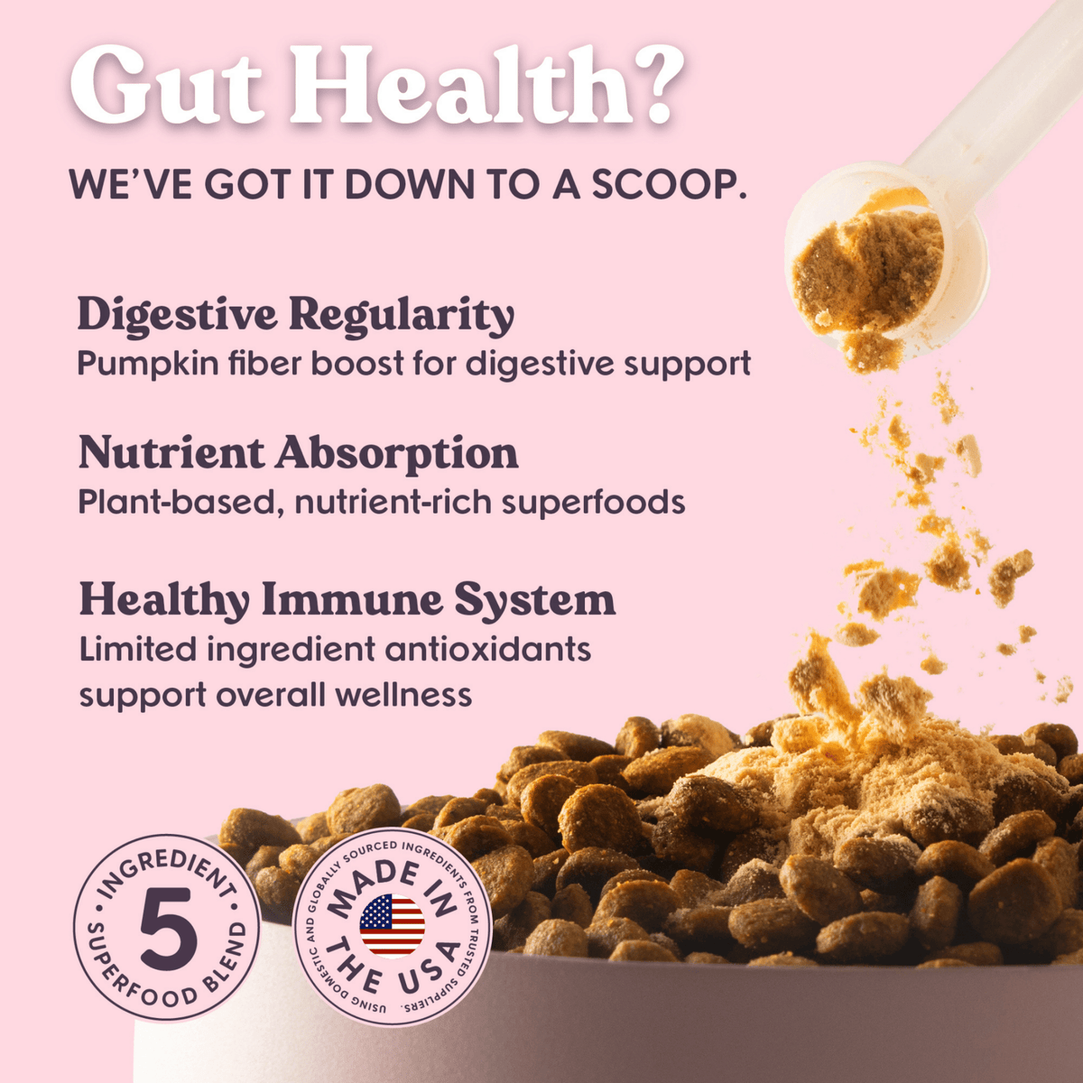 Bundle x Joy - Pumpkin & Superfoods Daily Boost Powder | Digestive Support - Doglicious Bakery Bites