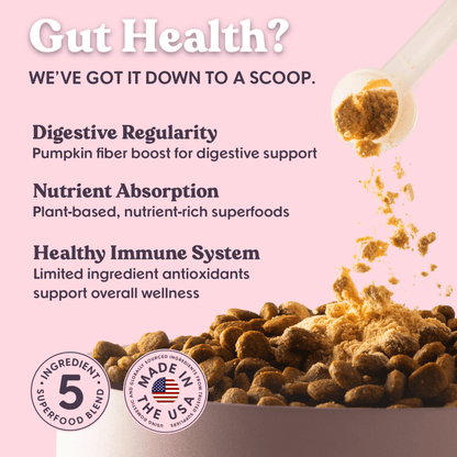 Bundle x Joy - Pumpkin & Superfoods Daily Boost Powder | Digestive Support - Doglicious Bakery Bites