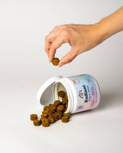 Bundle x Joy - Radiant Hip x Joint Supplement for Dogs| Duck Flavor | 90 Ct - Doglicious Bakery Bites
