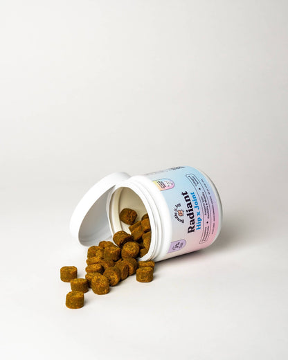 Bundle x Joy - Radiant Hip x Joint Supplement for Dogs| Duck Flavor | 90 Ct - Doglicious Bakery Bites