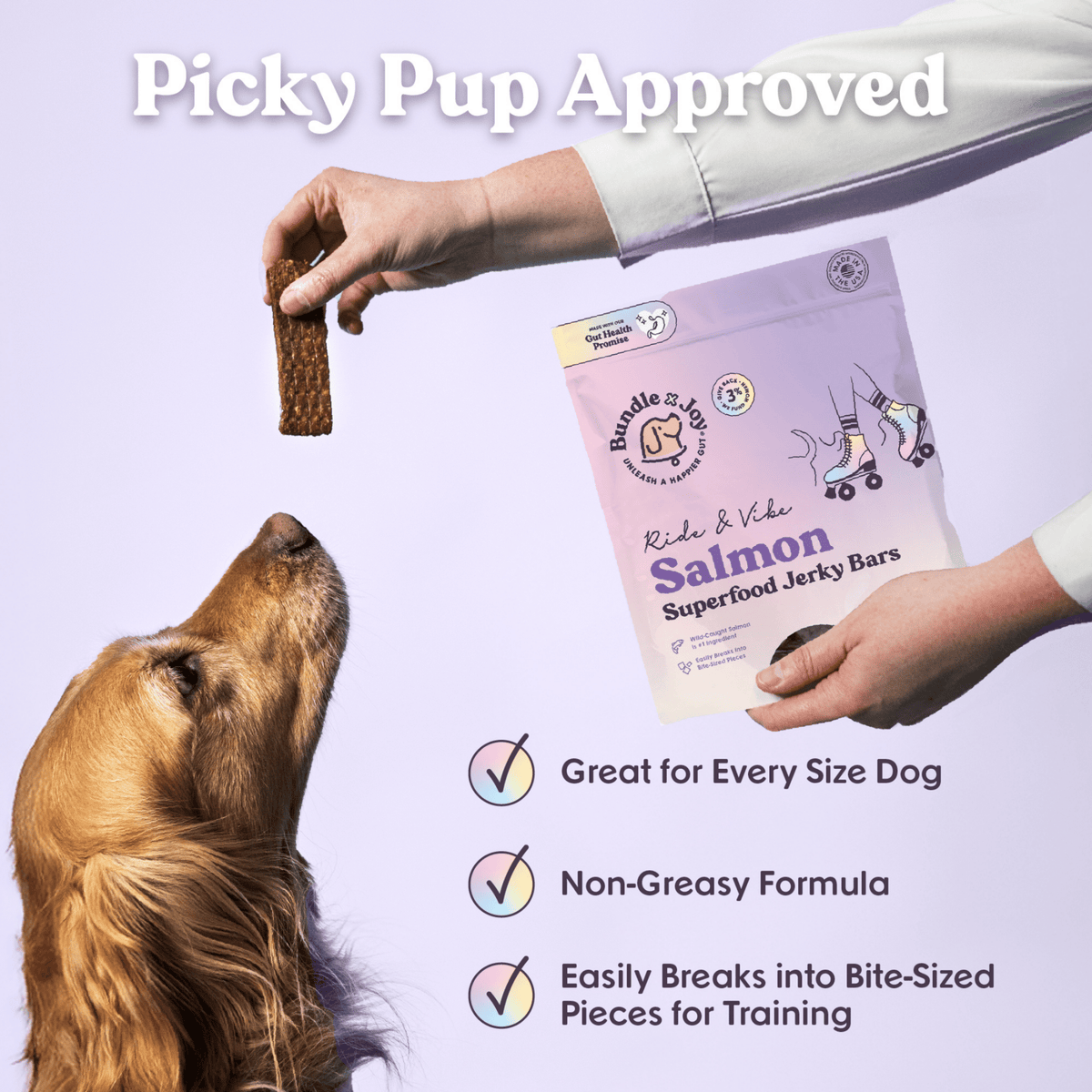 Bundle x Joy - Ride & Vibe Wild-Caught Salmon Jerky Bars for Dogs 16oz - Doglicious Bakery Bites