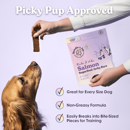 Bundle x Joy - Ride & Vibe Wild-Caught Salmon Jerky Bars for Dogs 16oz - Doglicious Bakery Bites