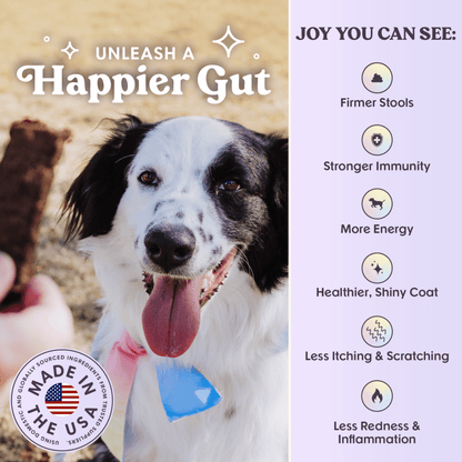 Bundle x Joy - Ride & Vibe Wild-Caught Salmon Jerky Bars for Dogs 16oz - Doglicious Bakery Bites