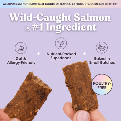 Bundle x Joy - Ride & Vibe Wild-Caught Salmon Jerky Bars for Dogs 16oz - Doglicious Bakery Bites