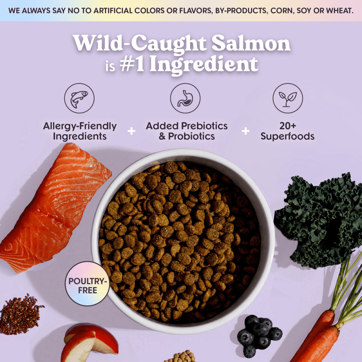 Bundle x Joy - Vibrant Wild-Caught Salmon Dog Food (Poultry-Free) 18lb - Doglicious Bakery Bites