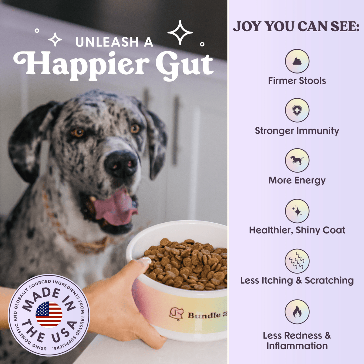 Bundle x Joy - Vibrant Wild-Caught Salmon Dog Food (Poultry-Free) 4lb - Doglicious Bakery Bites