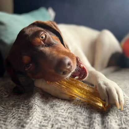 Mighty Marrows Collagen Dental Chew - Bacon - 2 Sizes