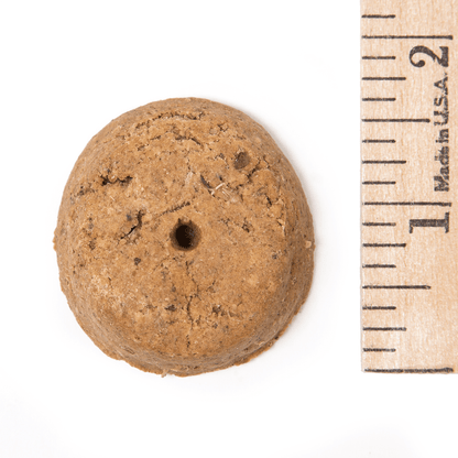 Carrot Cake - Doglicious Bakery Bites