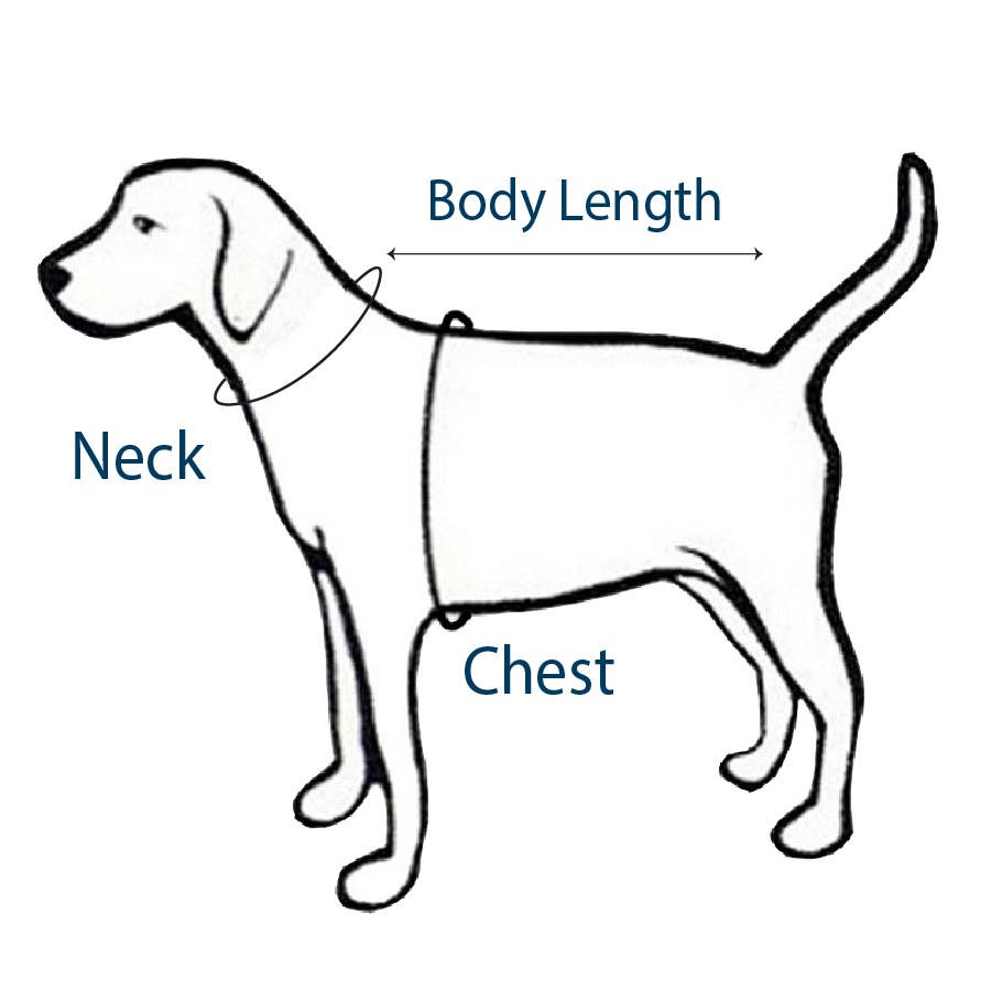 Christmas Stocking PJ's - Doglicious Bakery Bites