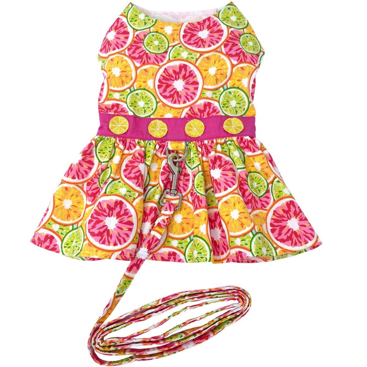 Citrus Slice Dog Dress w/ Matching Leash - Doglicious Bakery Bites