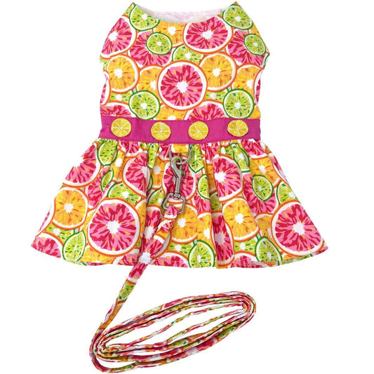 Citrus Slice Dog Dress w/ Matching Leash - Doglicious Bakery Bites