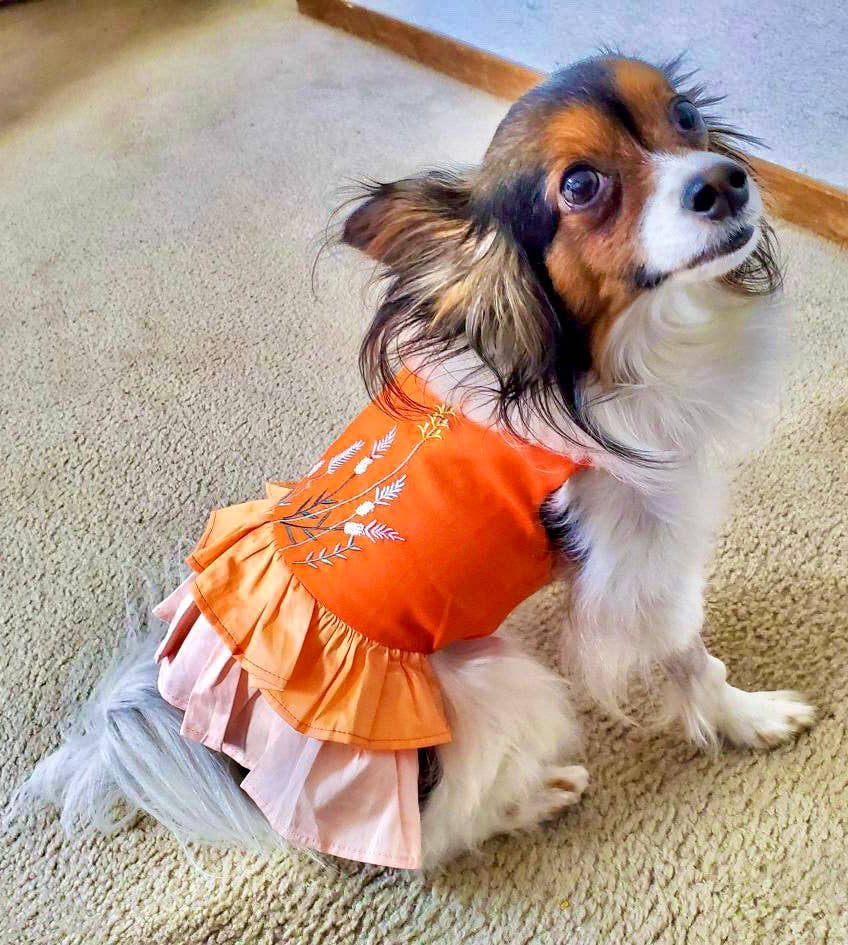 Color Block Garden Dress – Adorable Pet Clothing - Doglicious Bakery Bites