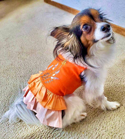 Color Block Garden Dress – Adorable Pet Clothing - Doglicious Bakery Bites
