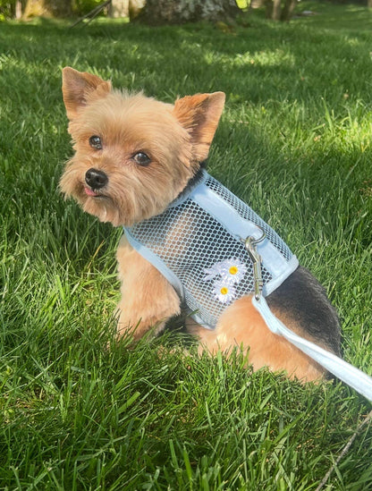 Cool Mesh Dog Harness - Blue with White Daisy's - Doglicious Bakery Bites
