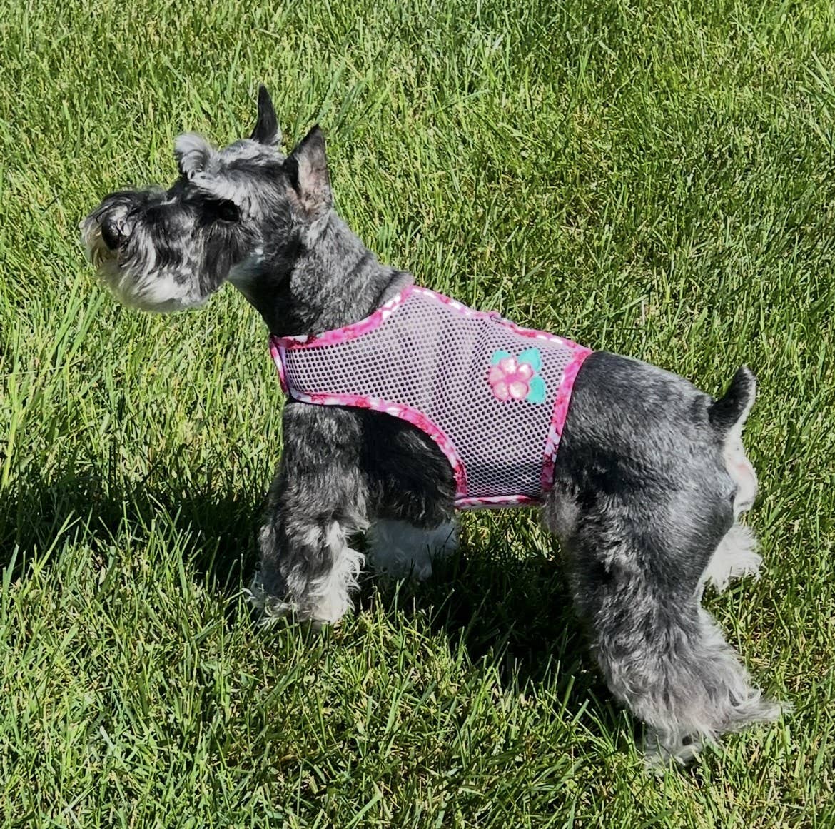 Cool Mesh Dog Harness - Hawaiian PINK Hibiscus - Doglicious Bakery Bites