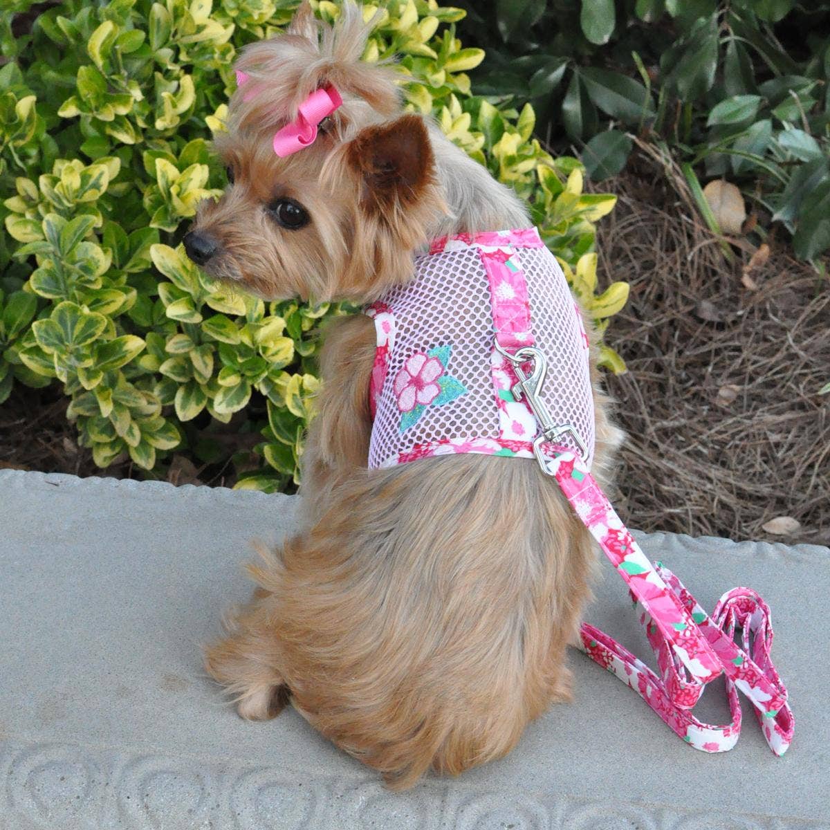 Cool Mesh Dog Harness - Hawaiian PINK Hibiscus - Doglicious Bakery Bites