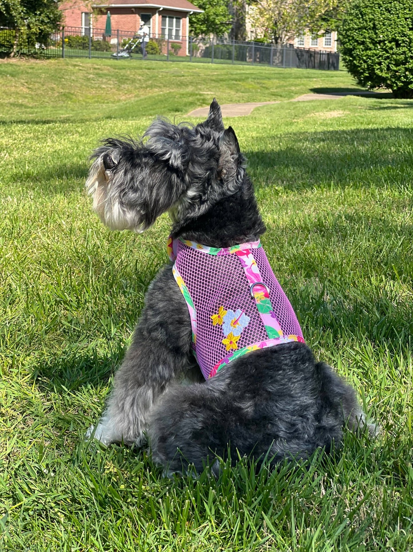 Cool Mesh Dog Harness - Pink Hawaiian Floral - Doglicious Bakery Bites