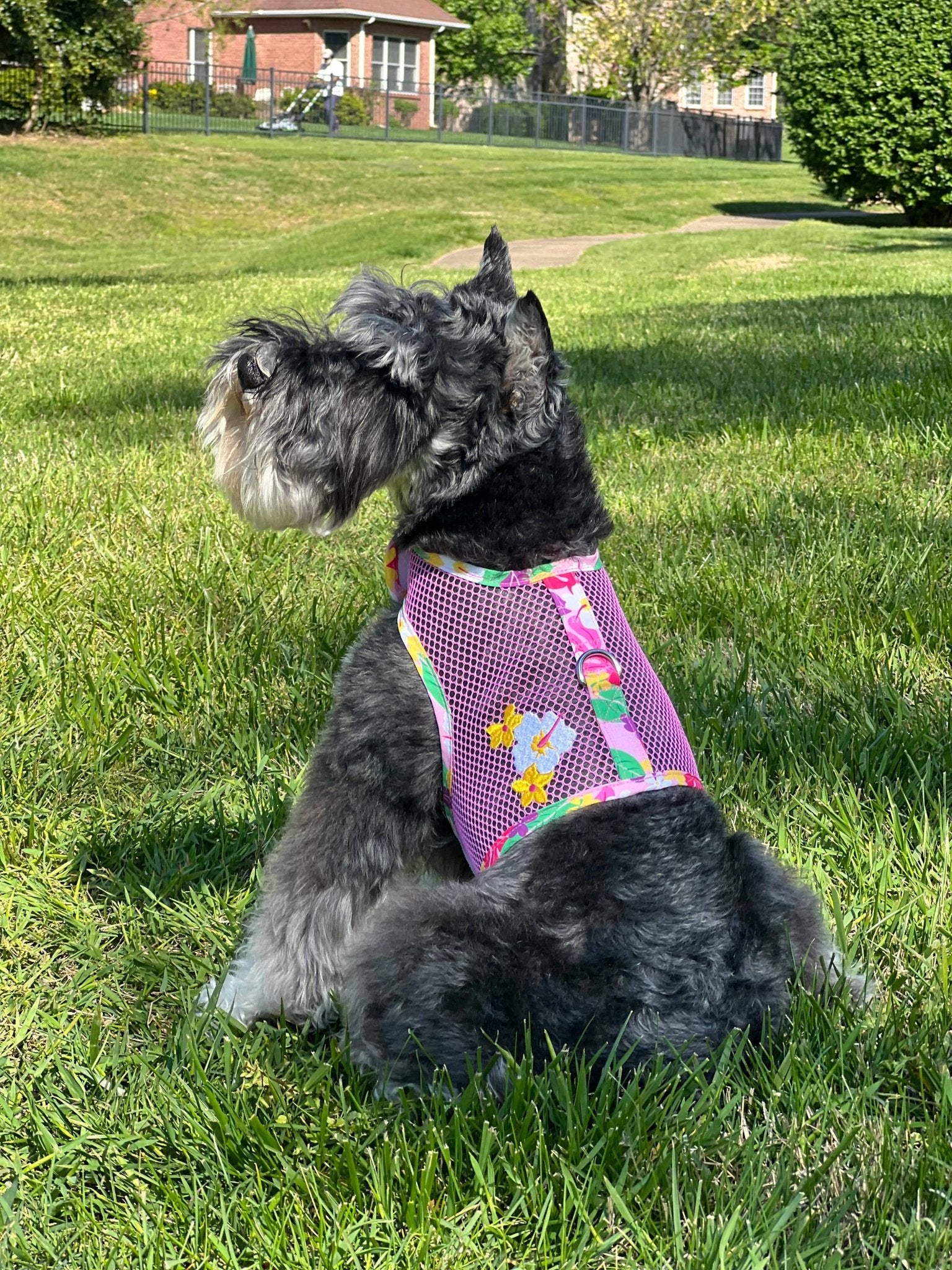 Cool Mesh Dog Harness - Pink Hawaiian Floral - Doglicious Bakery Bites