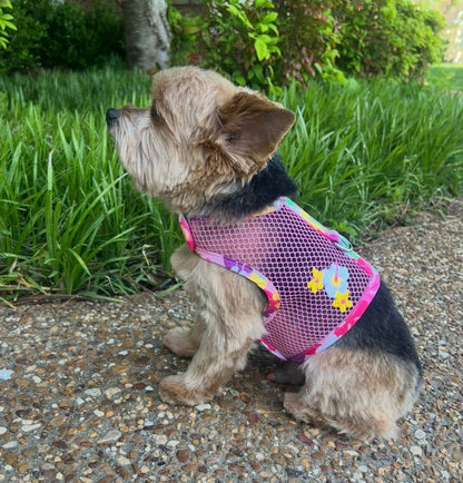 Cool Mesh Dog Harness - Pink Hawaiian Floral - Doglicious Bakery Bites