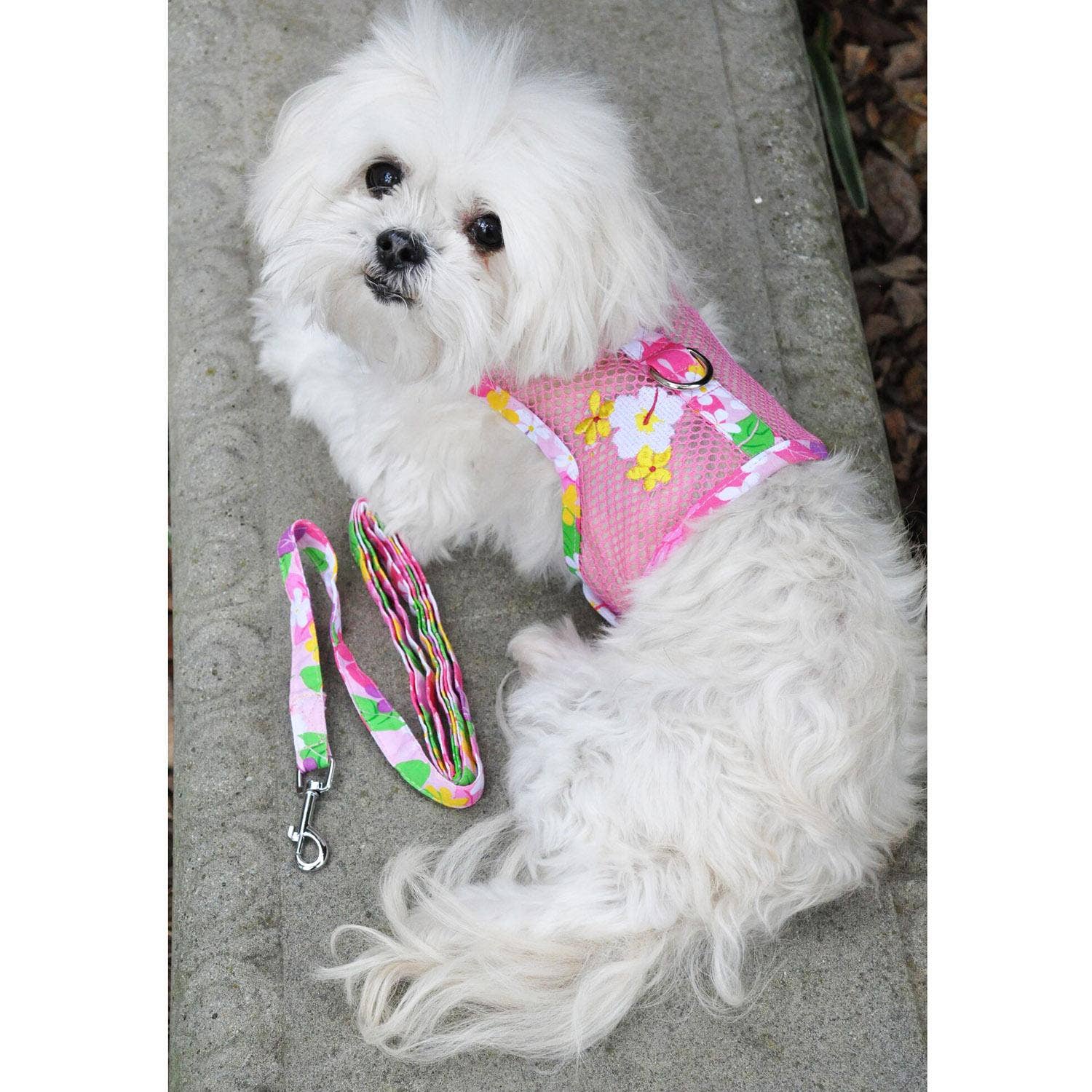 Cool Mesh Dog Harness - Pink Hawaiian Floral - Doglicious Bakery Bites