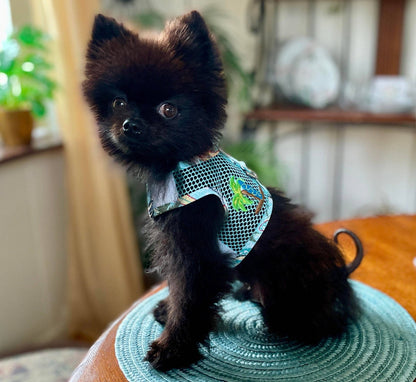 Cool Mesh Dog Harness - Surf boards & Palms - Doglicious Bakery Bites